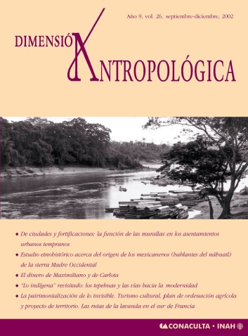					Ver Vol. 26 (2002): Dimensión Antropológica
				